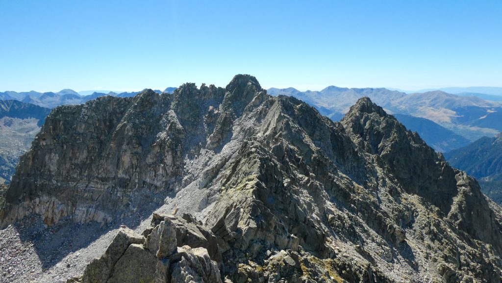 besiberris y comaloforno